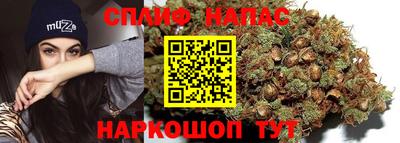 спиды Кимры