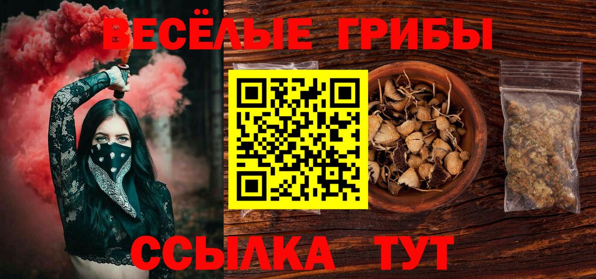 Псилоцибиновые грибы Psilocybine cubensis Великий Новгород