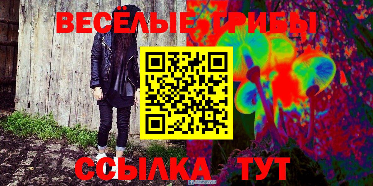 Галлюциногенные грибы Cubensis  Вход с VPN  Великий Новгород  Псилоцибиновые грибы Psilocybe 